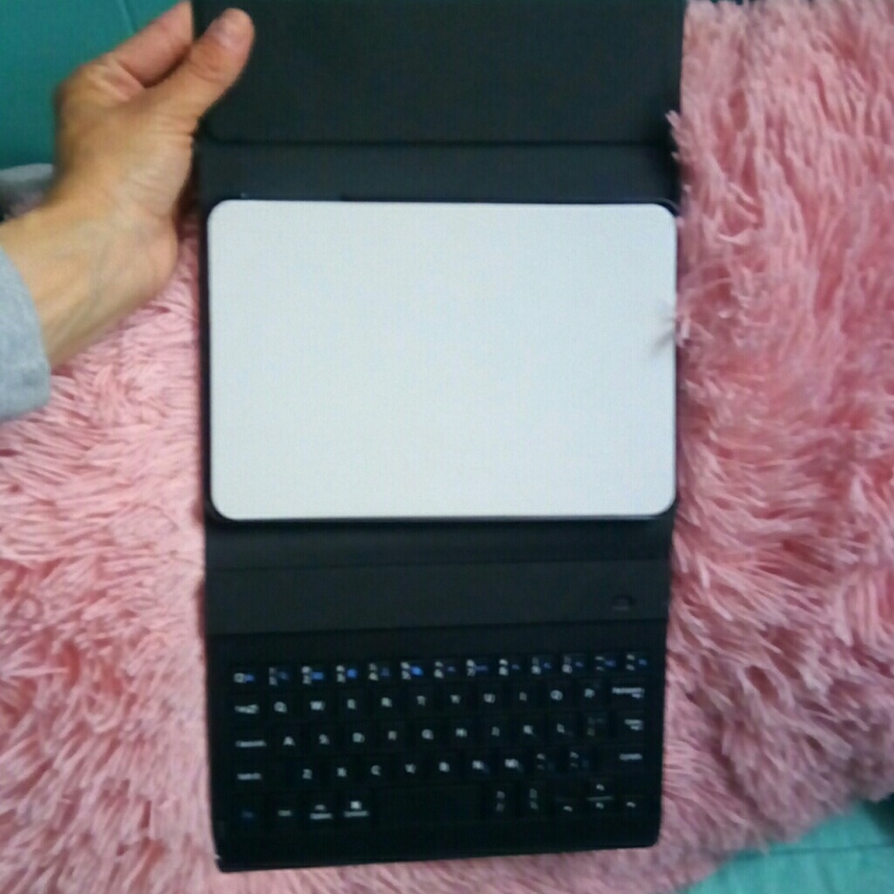 Mini IPad Case - Picture 2 of 3